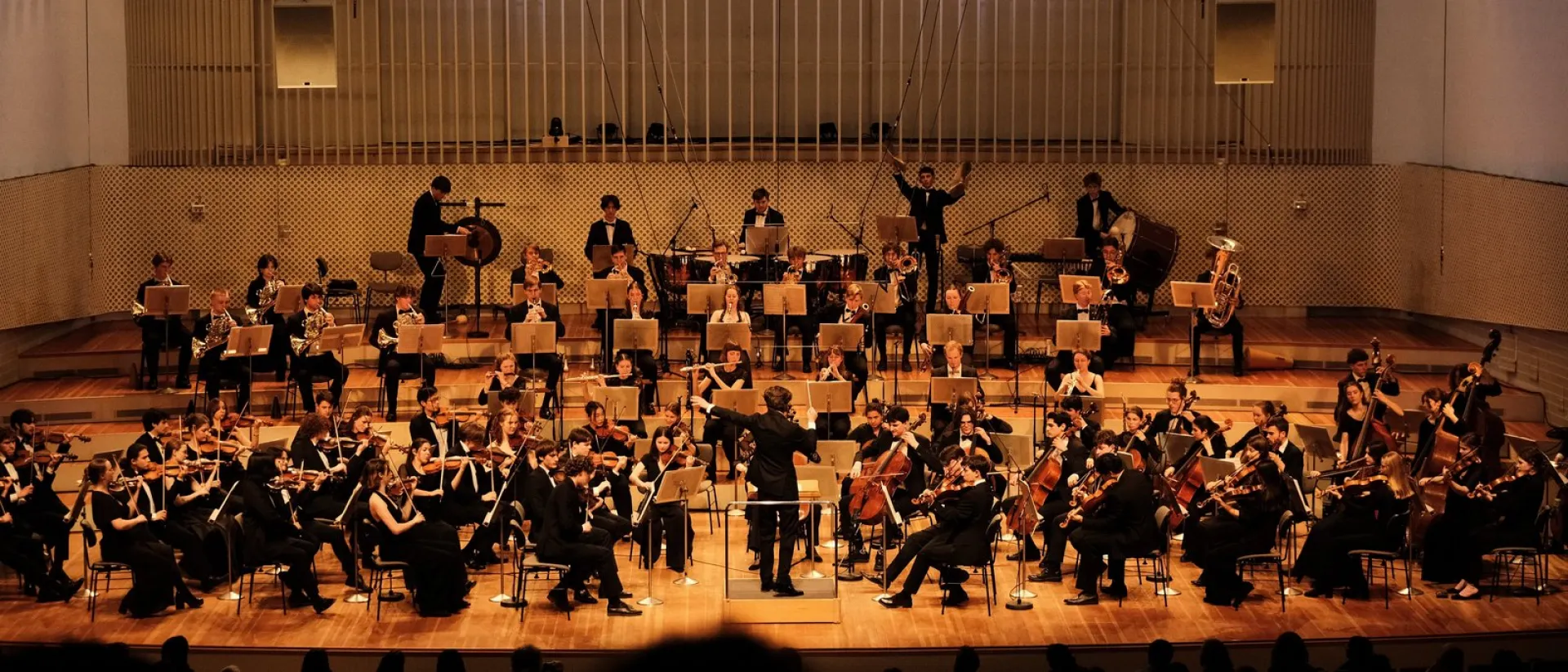 Berlin Young Chamber Orchestra
