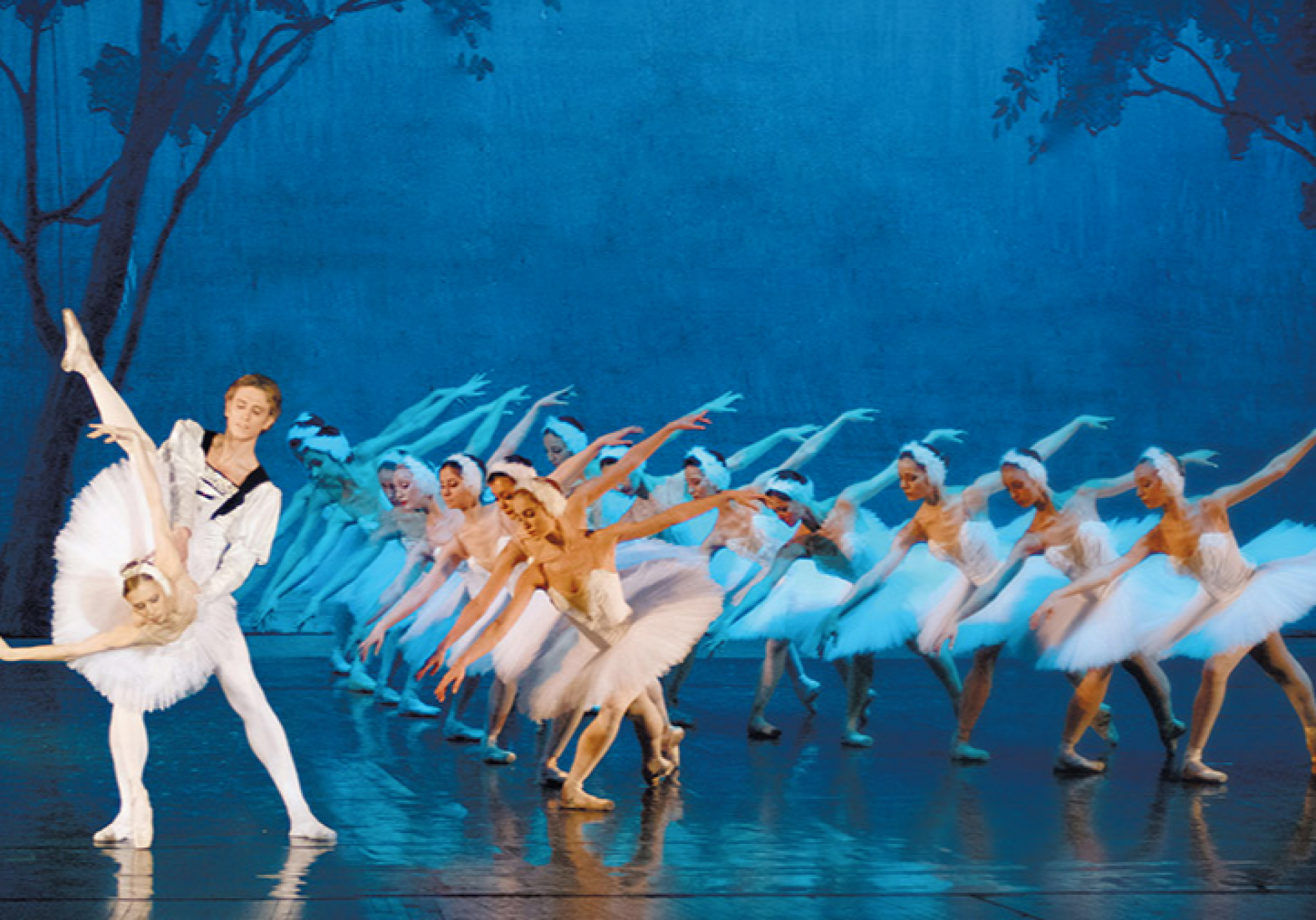 Swan Lake - St. Petersburg Festival Ballet