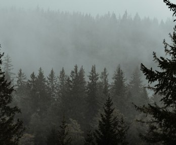 The Cold Heart