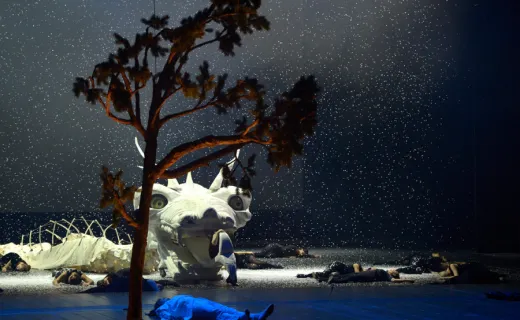 The Magic Flute