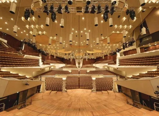 Ronny Heinrich Orchestra